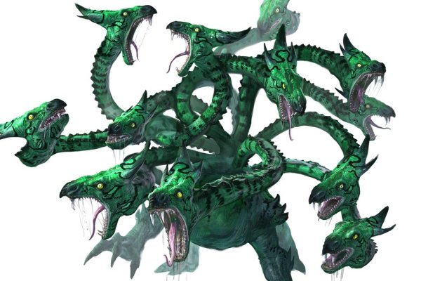 Kraken 20at