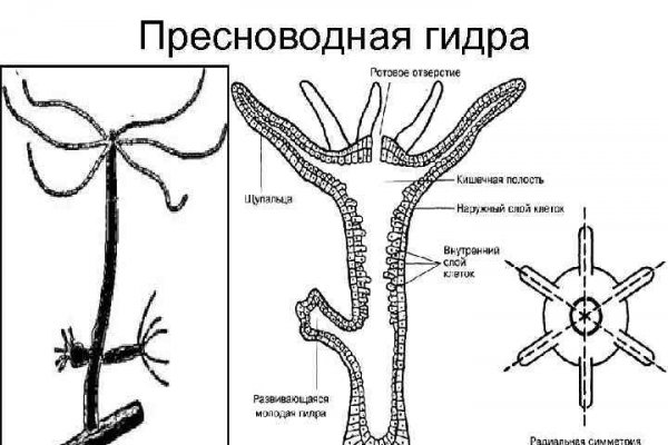 Ссылка кракен через тор