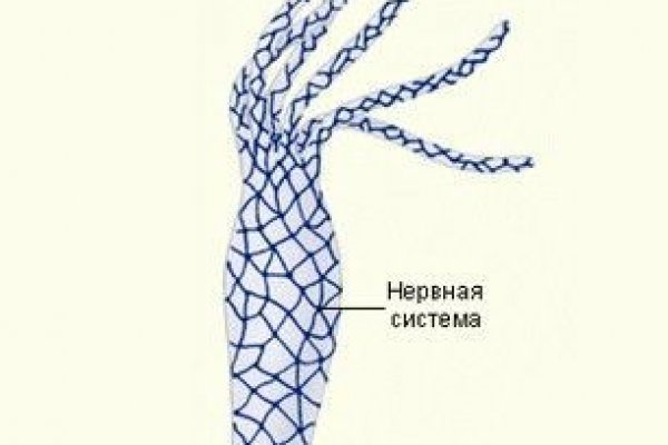 Как заходить на kraken через тор правильно