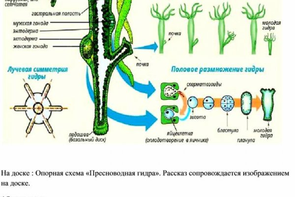 Кракен 16 даркнет продаж