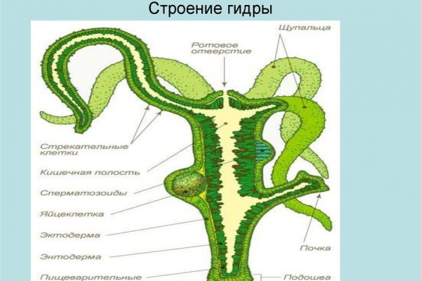 Как зайти на кракен kraken014 com