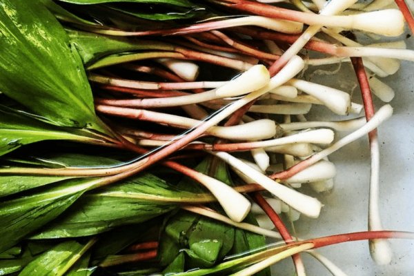 Krmp.cc onion кракен сайт