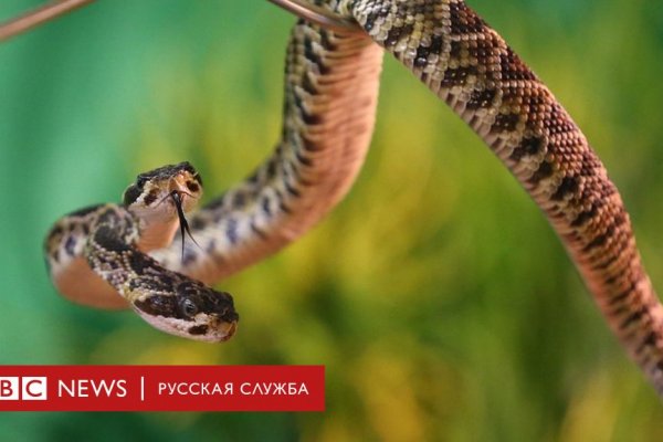 Кракен оригинальные ссылка в тор