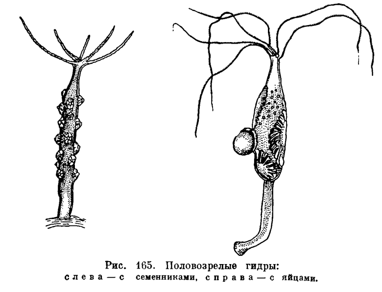 2krn ссылка