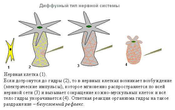 Кракен новый сайт